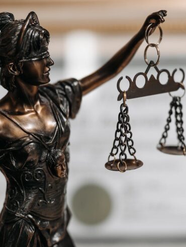 Photo by Pavel Danilyuk: https://www.pexels.com/photo/themis-figurine-at-lawyers-office-8112199/